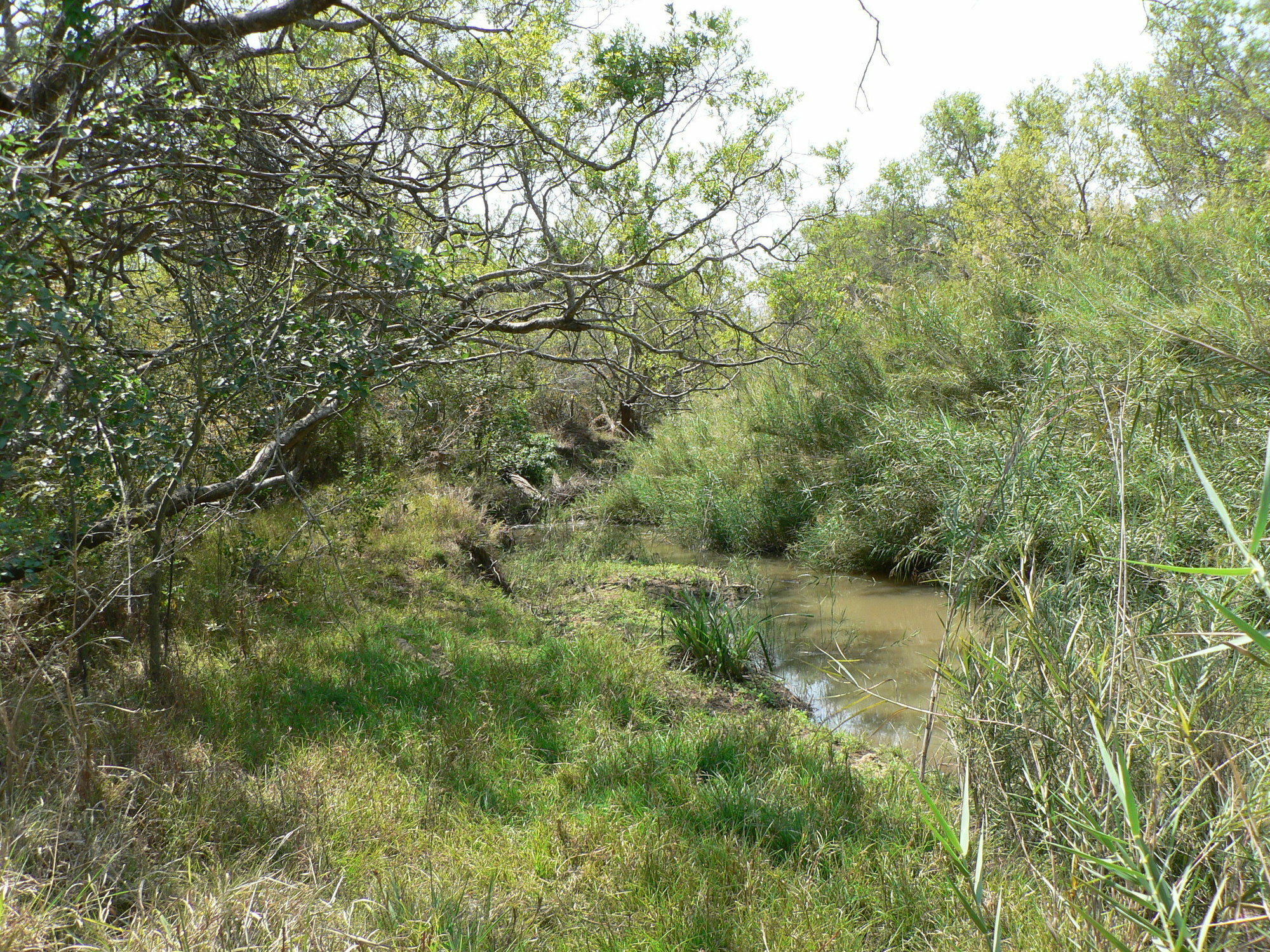 Amanzimlotzi Riverside Bush Camp Hoedspruit Exterior photo